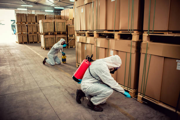 Best Termite Control Services  in Whitewater, KS