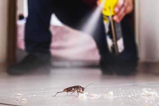 Pest Control Cost in Whitewater, KS